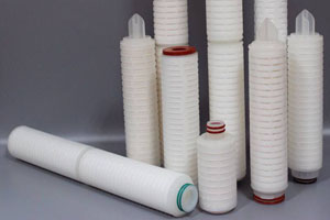 Hydrophobic PTFE Pleated Series Filter Cartridges Machines and Features