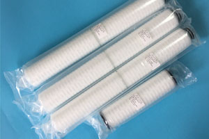 Pleated Series Filter Cartridges specs and making machines